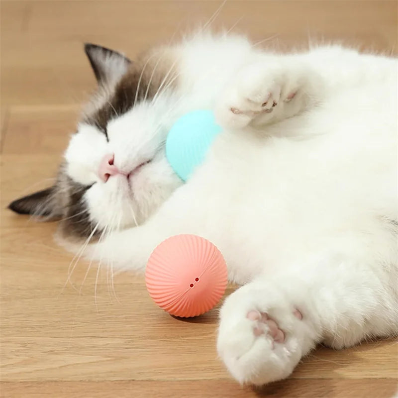 SmartPaw Ball