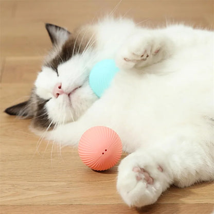 SmartPaw Ball