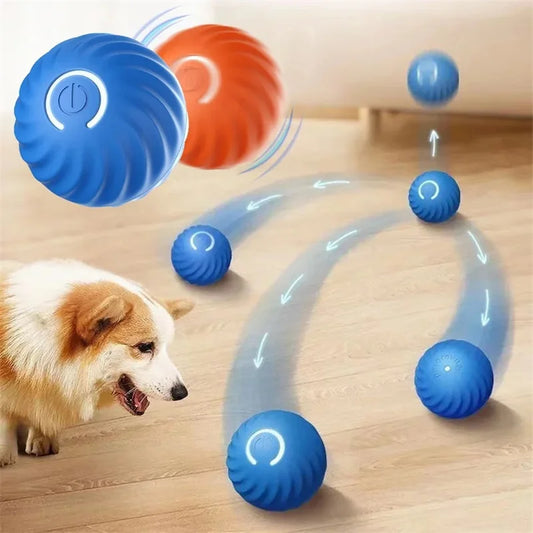 SmartPaw Ball