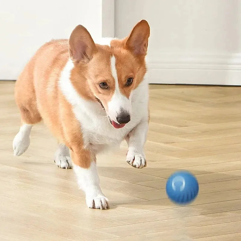 SmartPaw Ball