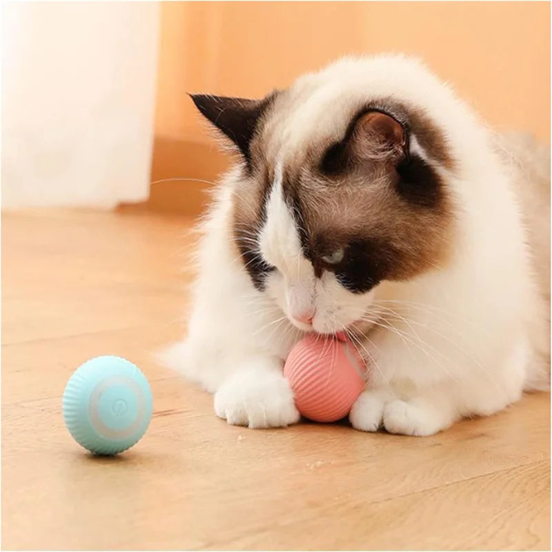 SmartPaw Ball